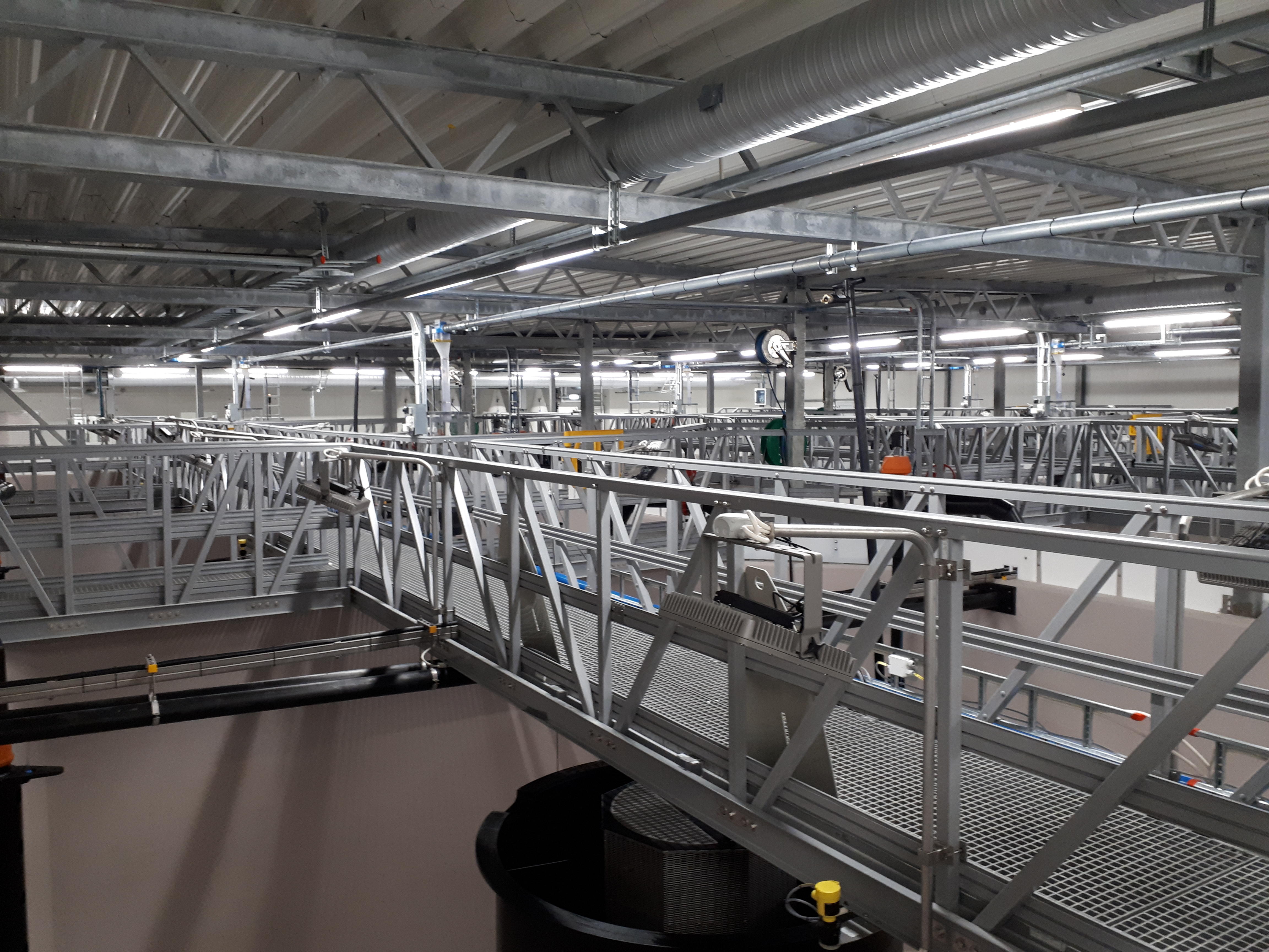 20191021 120120.Jpg (Optimized Original)